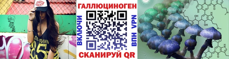 закладки  Жуковский  mega как зайти  Галлюциногенные грибы мицелий 